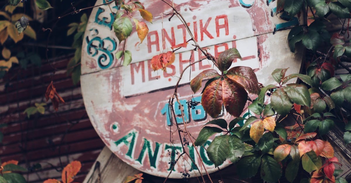 Alinéa's Repeated Redressement: A Battle for Survival